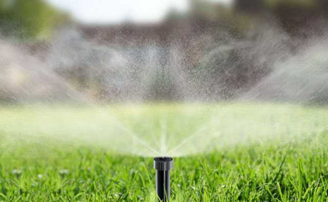Remotely water the lawn